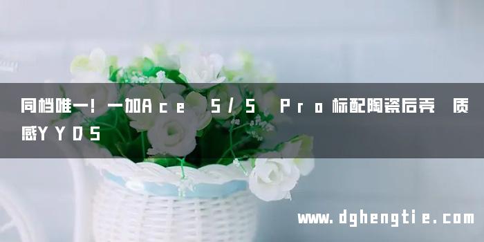 同档唯一!一加Ace 5/5 Pro标配陶瓷后壳 质感YYDS